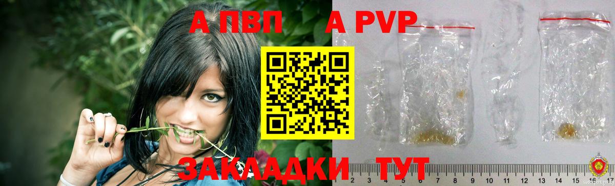 где продают наркотики  Alpha-PVP  A PVP крисы CK  Буйнакск  Вход с VPN  А ПВП мука 