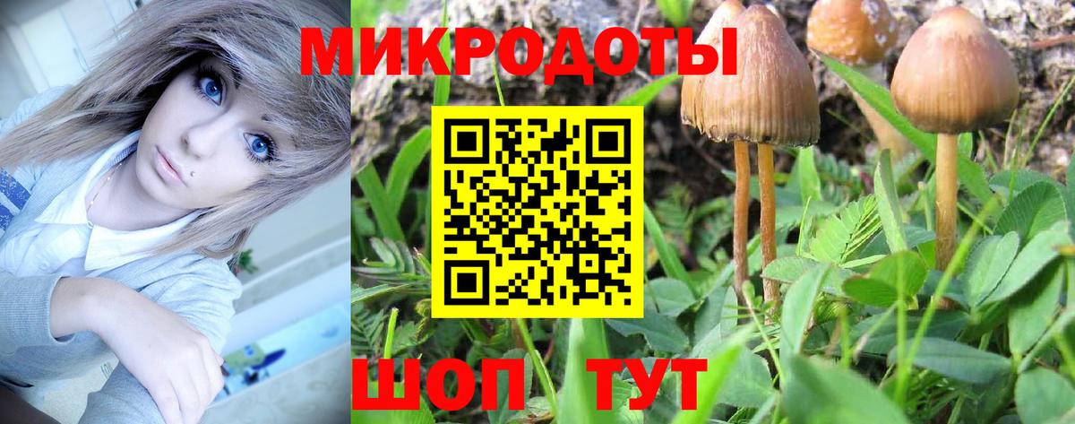 Буйнакск  Галлюциногенные грибы мицелий  Вход с VPN 